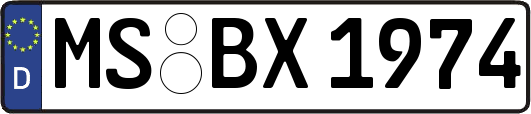 MS-BX1974