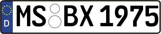 MS-BX1975