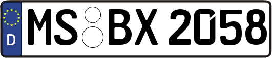 MS-BX2058