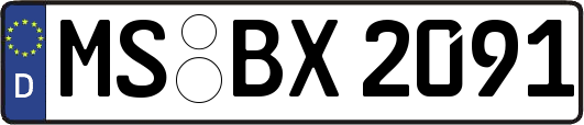 MS-BX2091