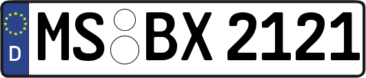 MS-BX2121
