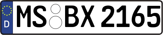 MS-BX2165