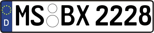 MS-BX2228