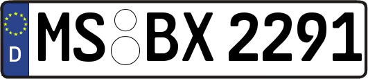 MS-BX2291
