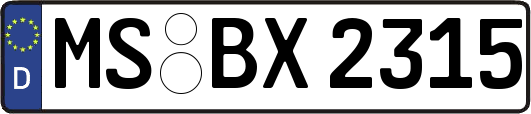 MS-BX2315