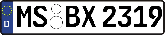 MS-BX2319