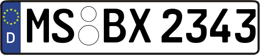 MS-BX2343