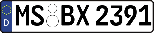 MS-BX2391