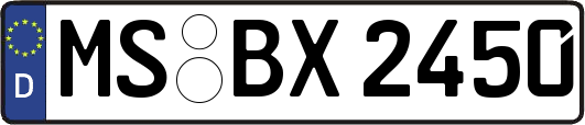 MS-BX2450