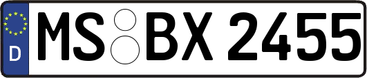 MS-BX2455