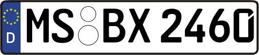 MS-BX2460