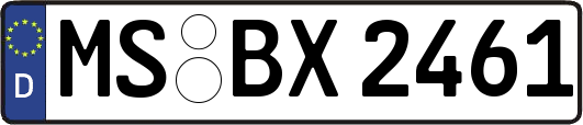 MS-BX2461