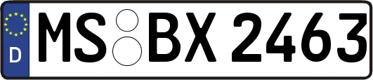 MS-BX2463