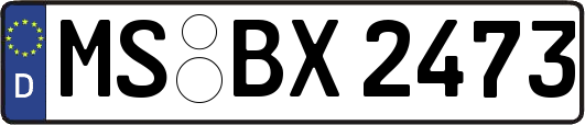MS-BX2473