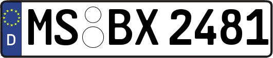 MS-BX2481