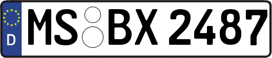 MS-BX2487