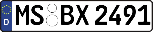 MS-BX2491
