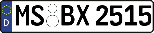 MS-BX2515