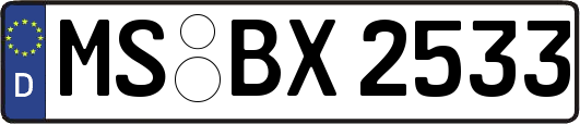 MS-BX2533