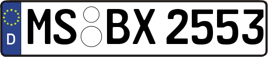 MS-BX2553