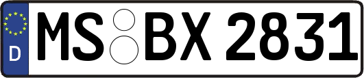 MS-BX2831