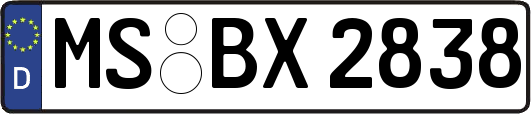 MS-BX2838