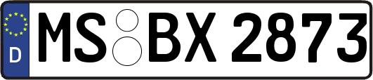 MS-BX2873