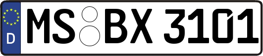 MS-BX3101