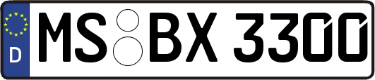 MS-BX3300