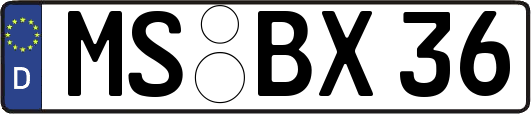 MS-BX36