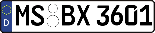 MS-BX3601