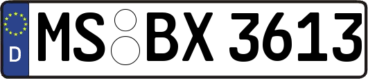 MS-BX3613
