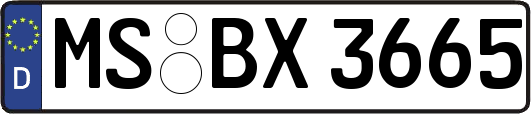 MS-BX3665