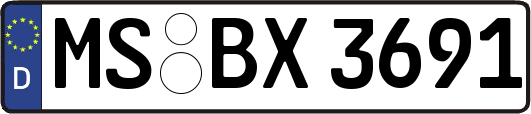 MS-BX3691
