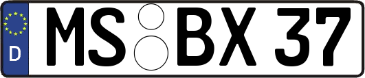 MS-BX37