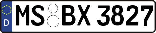 MS-BX3827