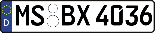 MS-BX4036
