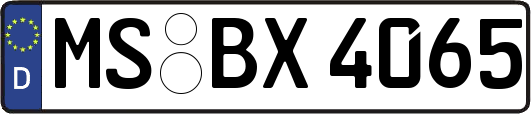 MS-BX4065