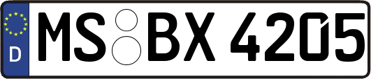 MS-BX4205