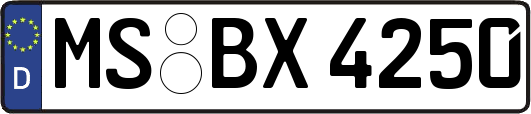 MS-BX4250