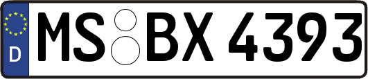 MS-BX4393