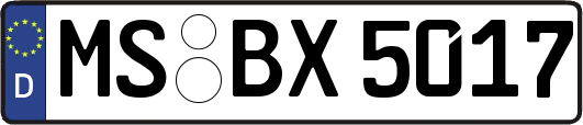 MS-BX5017