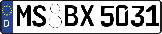 MS-BX5031