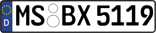 MS-BX5119