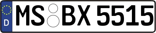 MS-BX5515