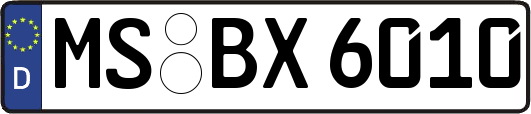 MS-BX6010