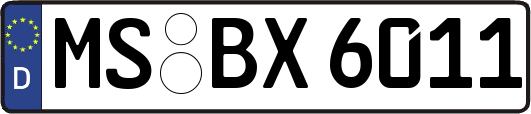 MS-BX6011