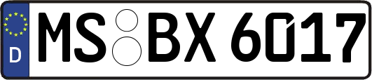 MS-BX6017