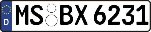MS-BX6231