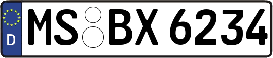 MS-BX6234